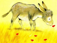 Platero-1024x775.jpg