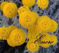 IMG-20180107-WA0014  Enero.jpg