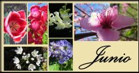 JUNIO.jpg