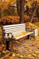 otoño.jpg otoño.jpg