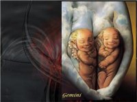 geminis2.jpg