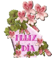 felizdia5ci.gif