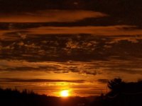 Foto de camy (1).jpg