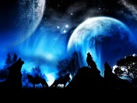 lobos_aullando_by_luzfero_d2rdv5f-fullview.jpg