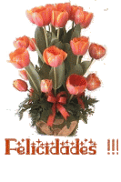 felicidades (36).gif