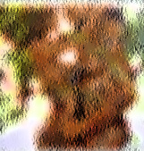 PAREJA ARBOL.jpg PAREJA ARBOL.jpg