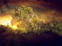 ROSTRO1.jpg ROSTRO1.jpg