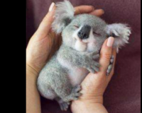 Screenshot_20220414-184948~2.png Screenshot_20220414-184948~2.png