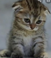 Screenshot_20220414-182557~2.png Screenshot_20220414-182557~2.png