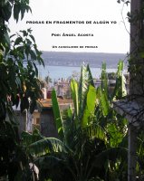 PROSA EN FRAGMENTOS DE ALGUN YO.JPG