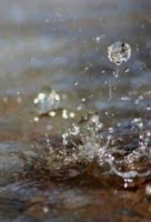 Screenshot_20230205-053046~2.png Screenshot_20230205-053046~2.png