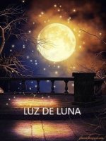 LUZ DE LUNA.jpg