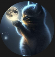 Screenshot_20241218-144218~2.png Screenshot_20241218-144218~2.png