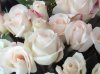 rosas blancas g.jpg