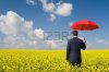 8508172-vista-posterior-del-empresario-con-paraguas-rojo-caminando-en-pradera-amarillo.jpg