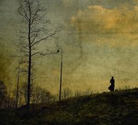 solitaria.jpg solitaria.jpg