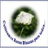 RosaBlanca del Sur